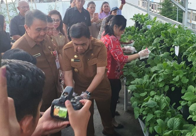 
					Kreatif di Tengah Keterbatasan Lahan, Pemkot Manado Panen Sayuran di Rooftop