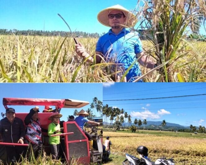 
					IPB 15 Dongkrak Panen di Bintauna, Namun Tantangan Lapangan Jadi Penentu